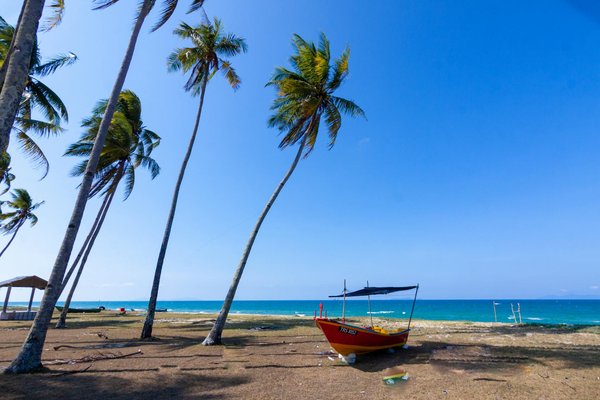 Comment les voyages post-pandémie redéfinissent-ils le tourisme mondial ?