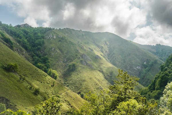 Élégance sur Roues : La Révolution du Transport en Autocar de Luxe